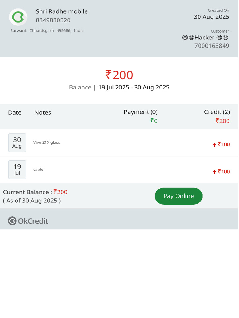 Current Balance Statement - ₹200 | PDF