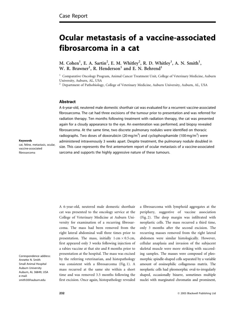 Vet Comparative Oncology - 2004 - Cohen - Ocular Metastasis of A ...