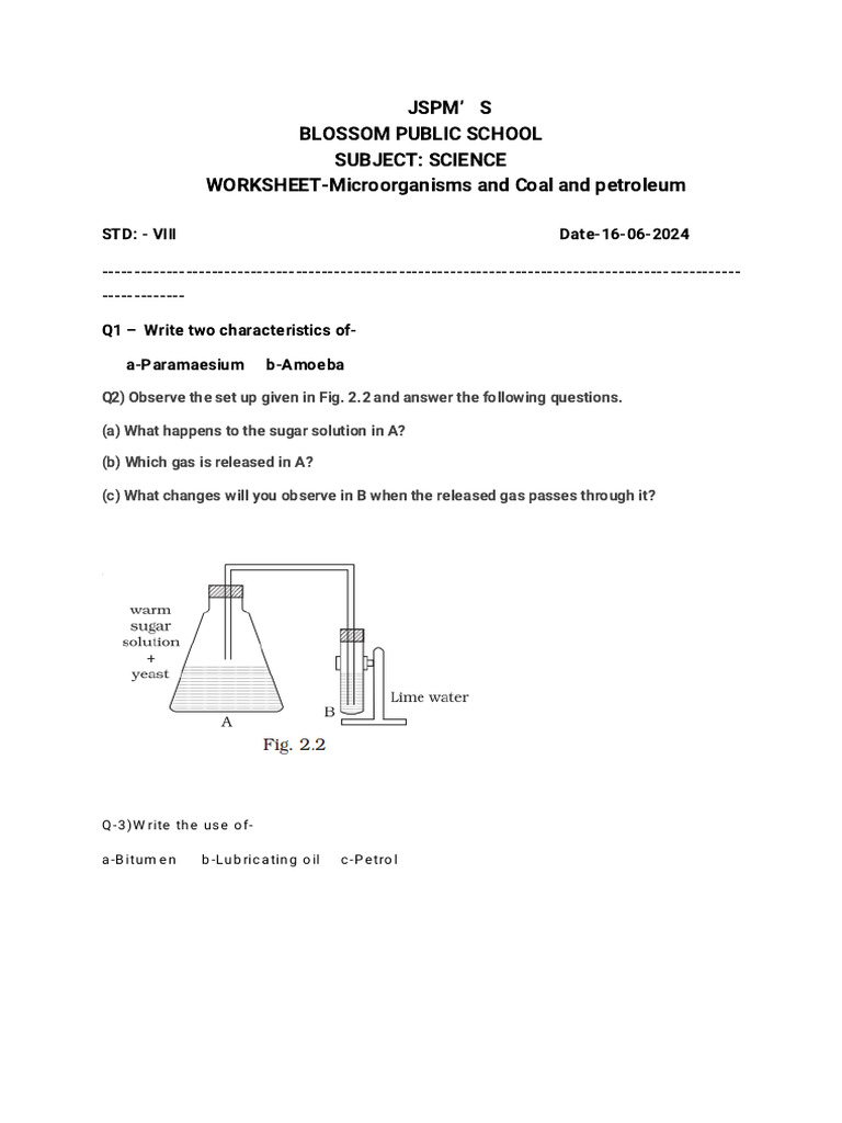 8th Science Worksheet | PDF