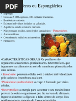 aula de poríferos