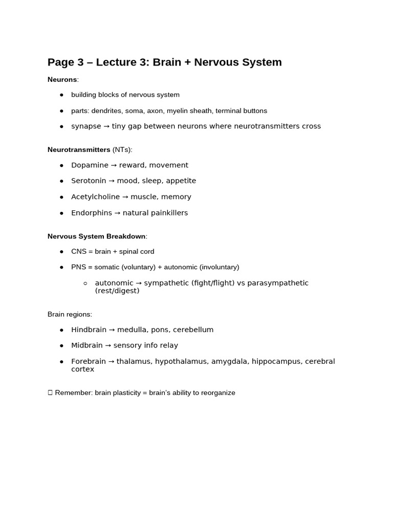 Page 3 - Lecture 3 - Brain + Nervous System | PDF