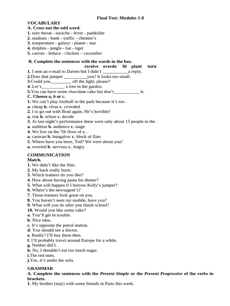 Vocabulary and Grammar Test Guide | PDF