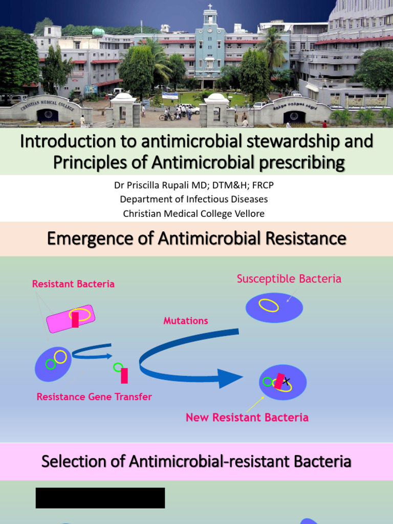 Antimicrobial Stewardship Principles Guide | PDF | Antimicrobial ...