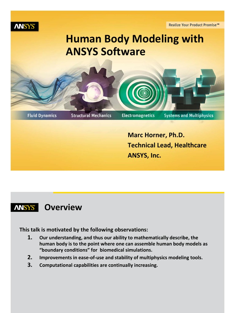 Human Body Modeling ANSYS Software PDF Electrical Impedance