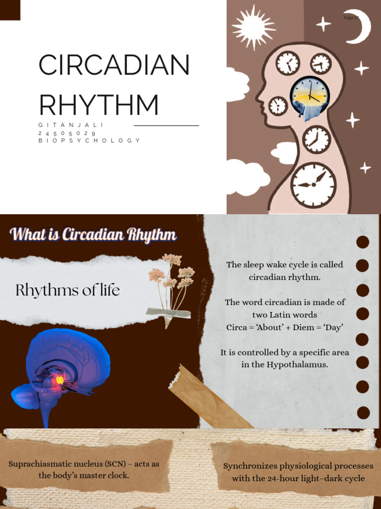 Understanding Circadian Rhythms and Sleep | PDF | Circadian Rhythm | Sleep