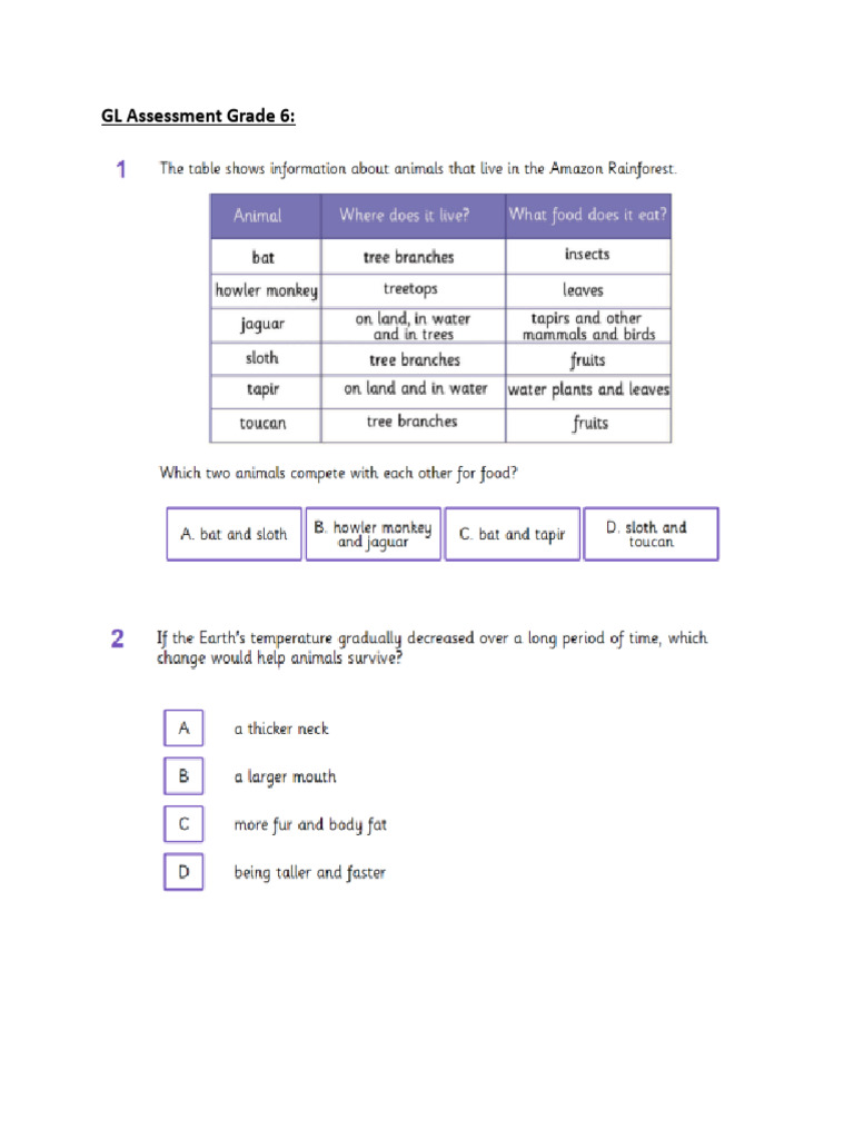GL Assessment Grade 6 | PDF