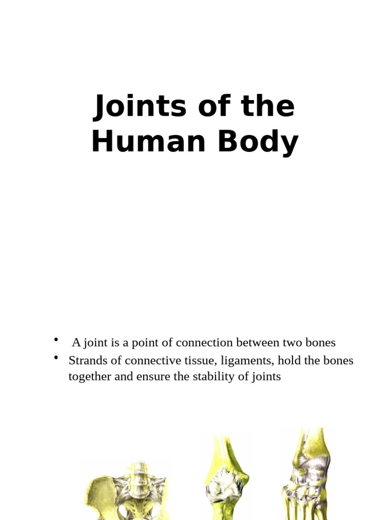 Types and Functions of Human Joints | PDF | Joint | Cartilage