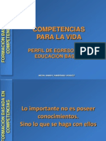 Definicioncompetenciasbasicas 1216768675850614 9