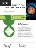 Principles of Neuroplasticity FINAL | PDF | Neuroplasticity | Physical ...