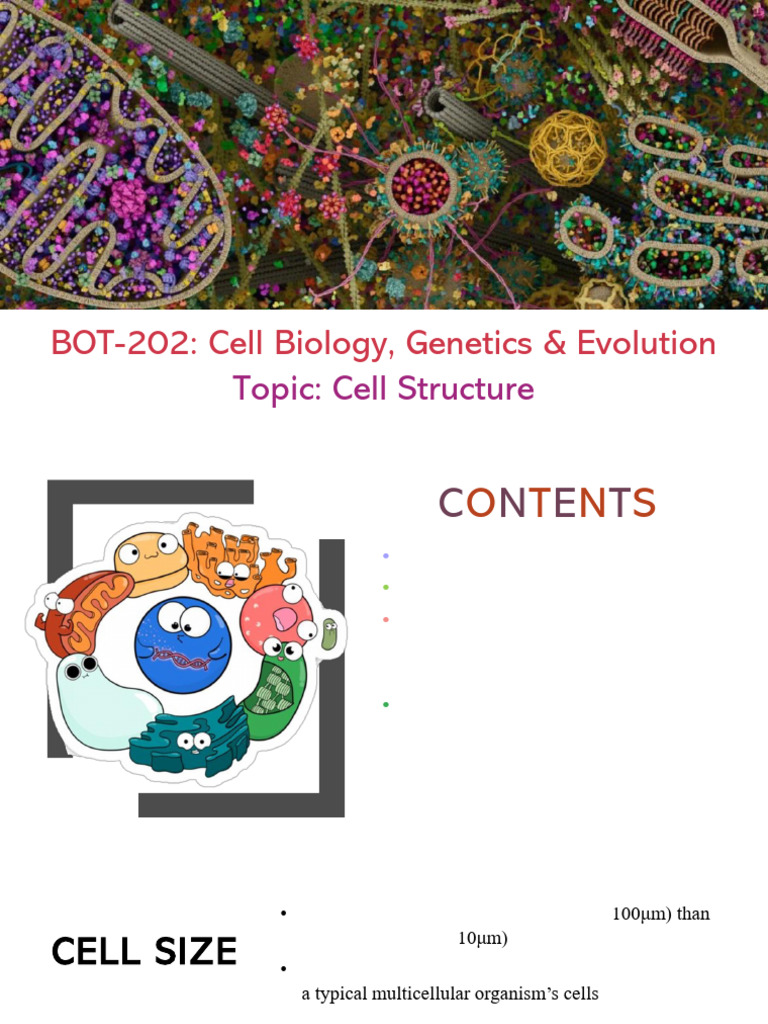 Cell Structure (Part-I) | PDF | Endoplasmic Reticulum | Cell (Biology)