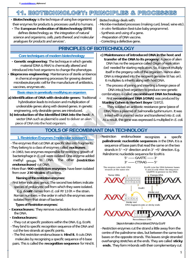Principles of Biotechnology Explained | PDF | Molecular Cloning ...