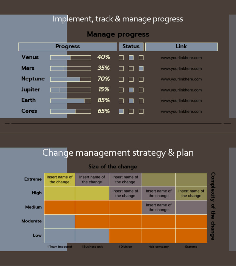 Change Management Strategy Overview | PDF