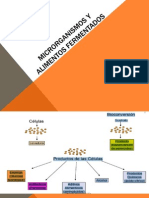 Microrganismos y Alimentos Ferment a Dos