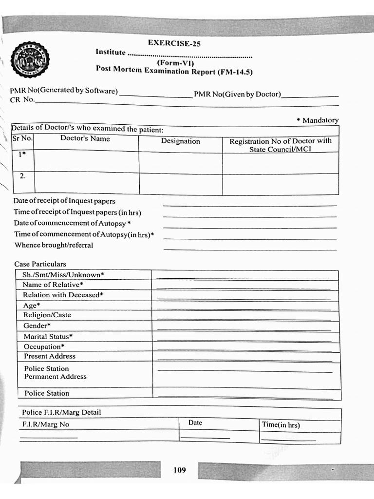 PM Report Format English | PDF