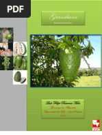 Download Annona muricata L by Nandyel SN91097255 doc pdf