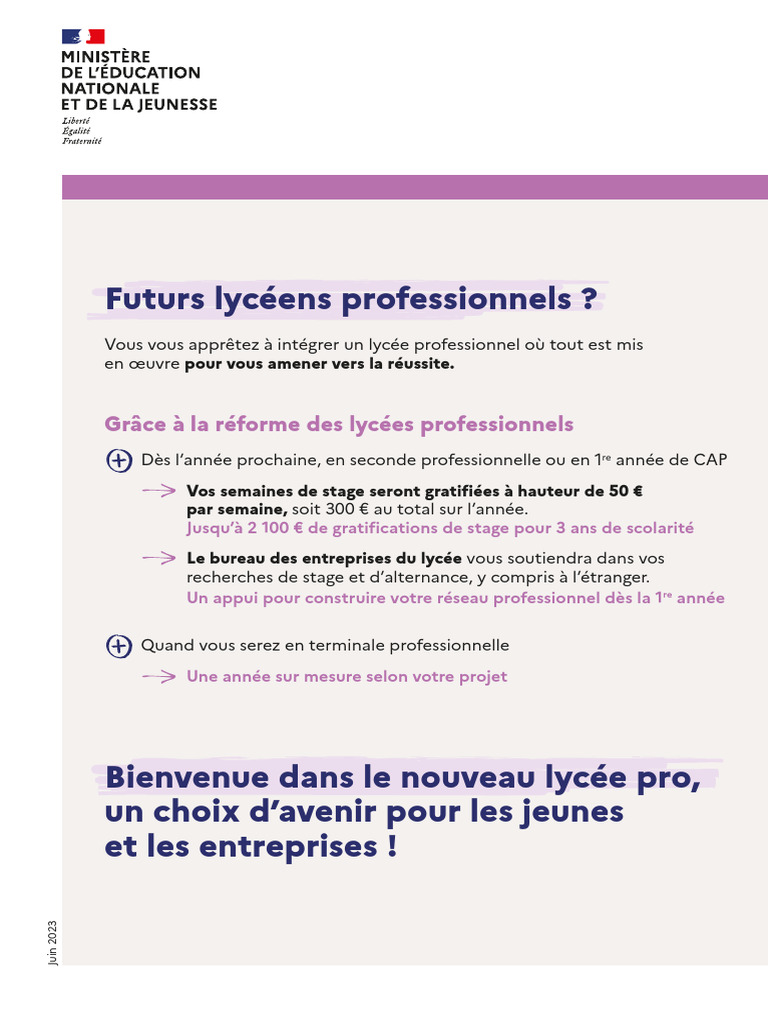 Lycée pro : un avenir prometteur pour les jeunes | PDF