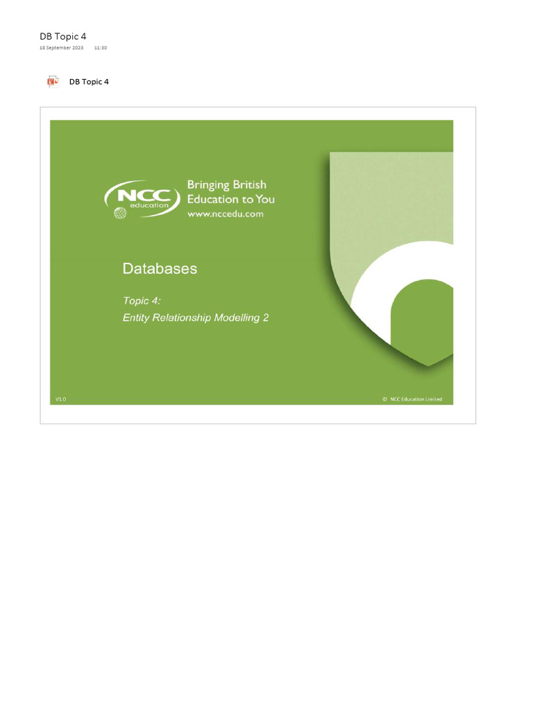 Topic 4 | PDF