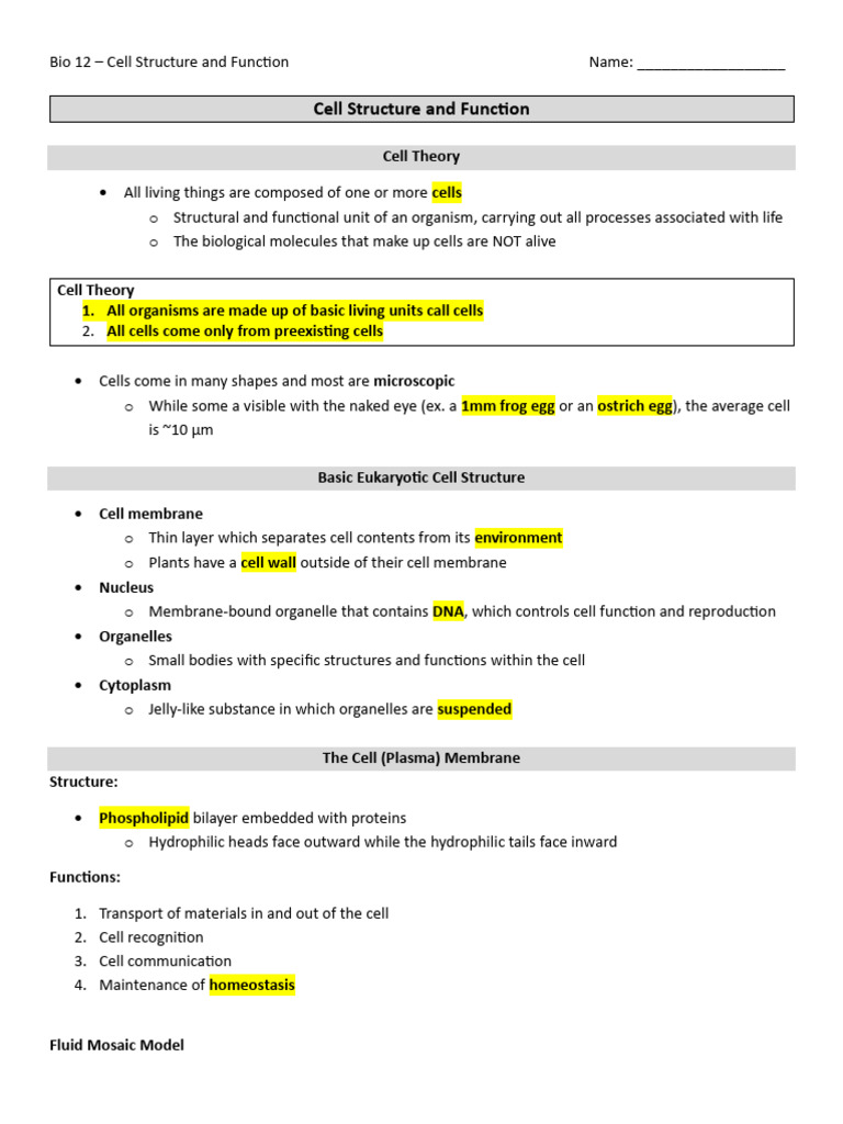 Chapter Notes - Cell Structure and Function - Student Filled | PDF ...