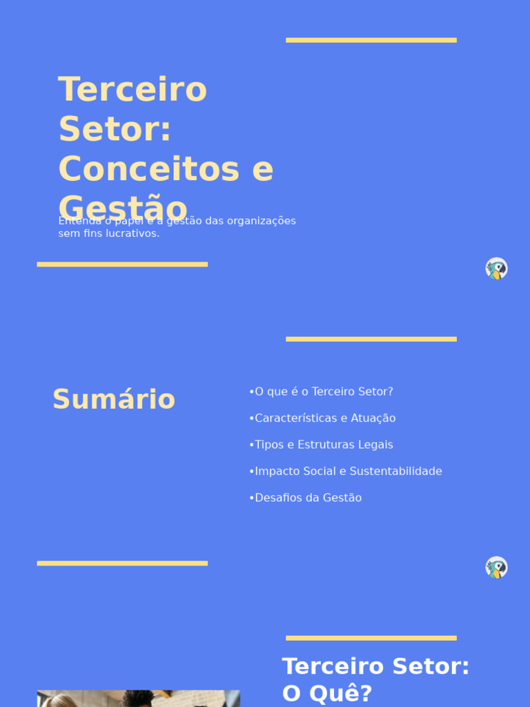 Gestão e Impacto do Terceiro Setor | PDF | Organização não ...