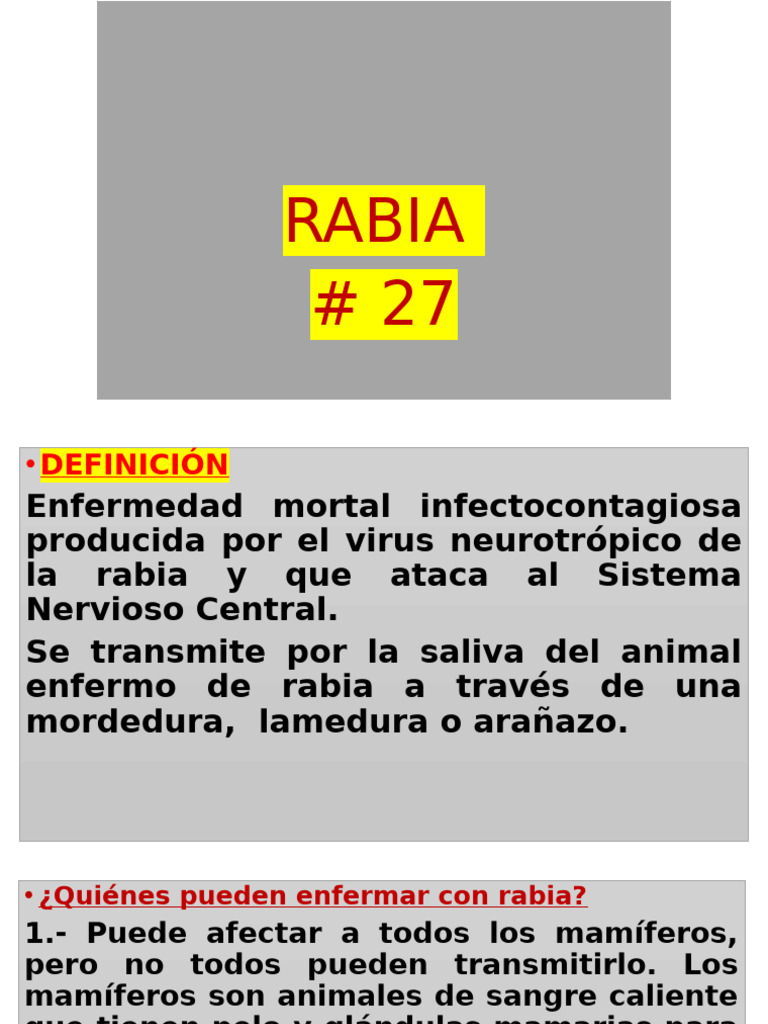 Información esencial sobre la rabia | PDF | Rabia | Virus