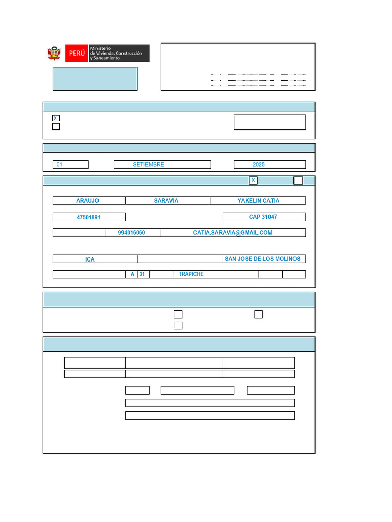 Formulario H - Llenado | PDF