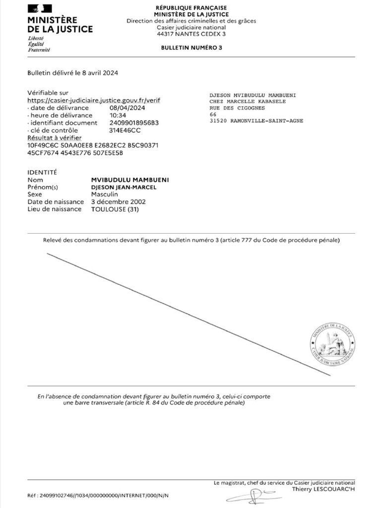 Extrait Casier Judiciaire | PDF