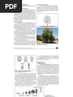 10_manutenção de árvores