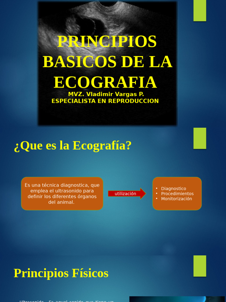 Principios Básicos de Ecografía | PDF | Ultrasonido | Sonido
