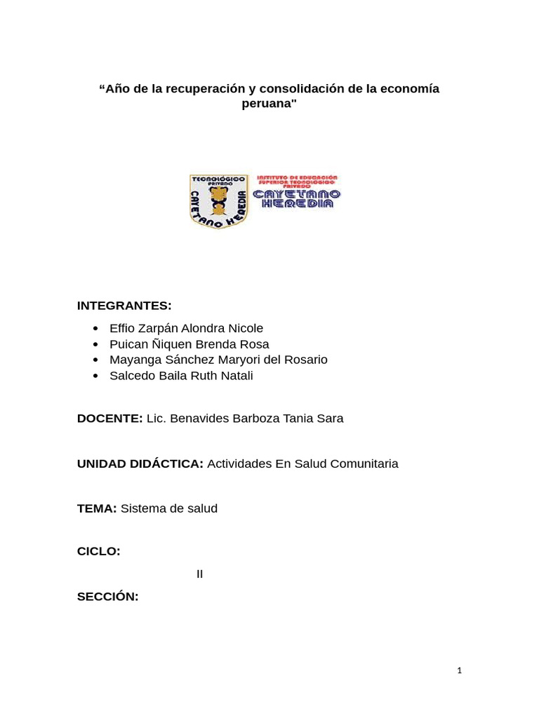 Organización del Sistema de Salud en Perú | PDF | Hospital | Cuidado de ...