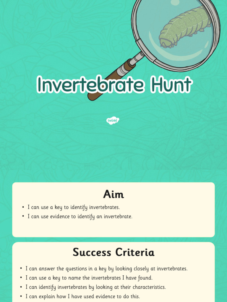 Invertebrate | PDF