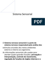 Aula Anatomia Sensorial Enfermagem