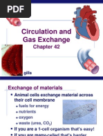 Download AP Biology Chapter 42 Circulatory and Respiration by Sang Hoon Kim SN91112174 doc pdf