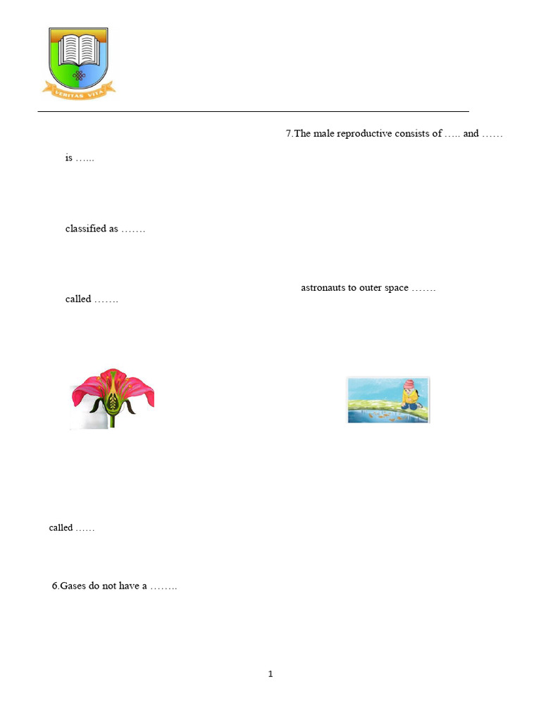 Primary 5 Science Final Test 2024-2025 | PDF | Water | Flowers