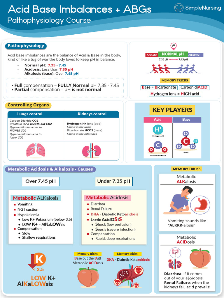 Acid Base Imbalances, Metabolic Acidosis, Metabolic Alkalosis | PDF ...