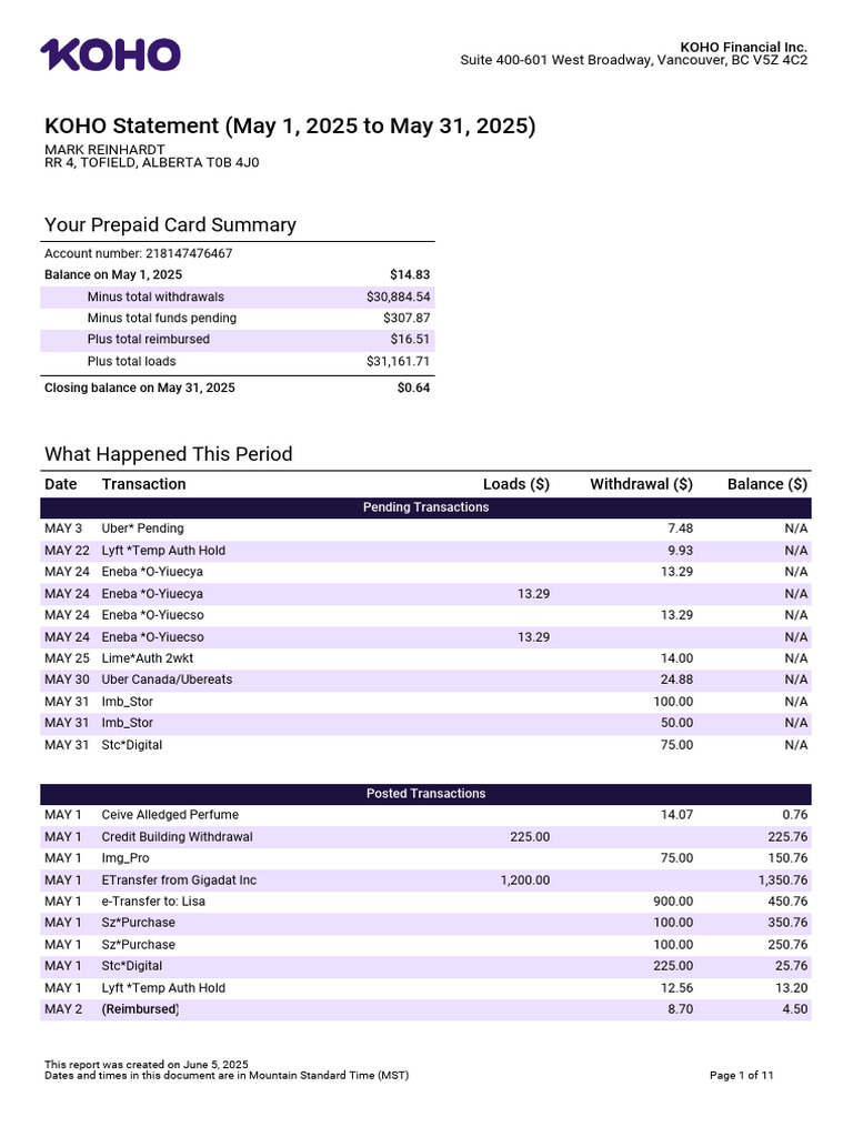 KOHO Financial Statement Summary | PDF | Companies | Service Industries