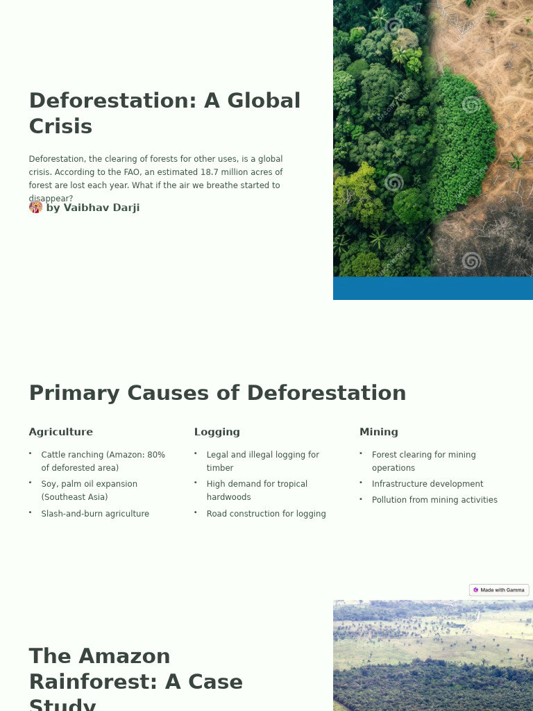 Global Deforestation Crisis Explained | PDF | Deforestation | Forests