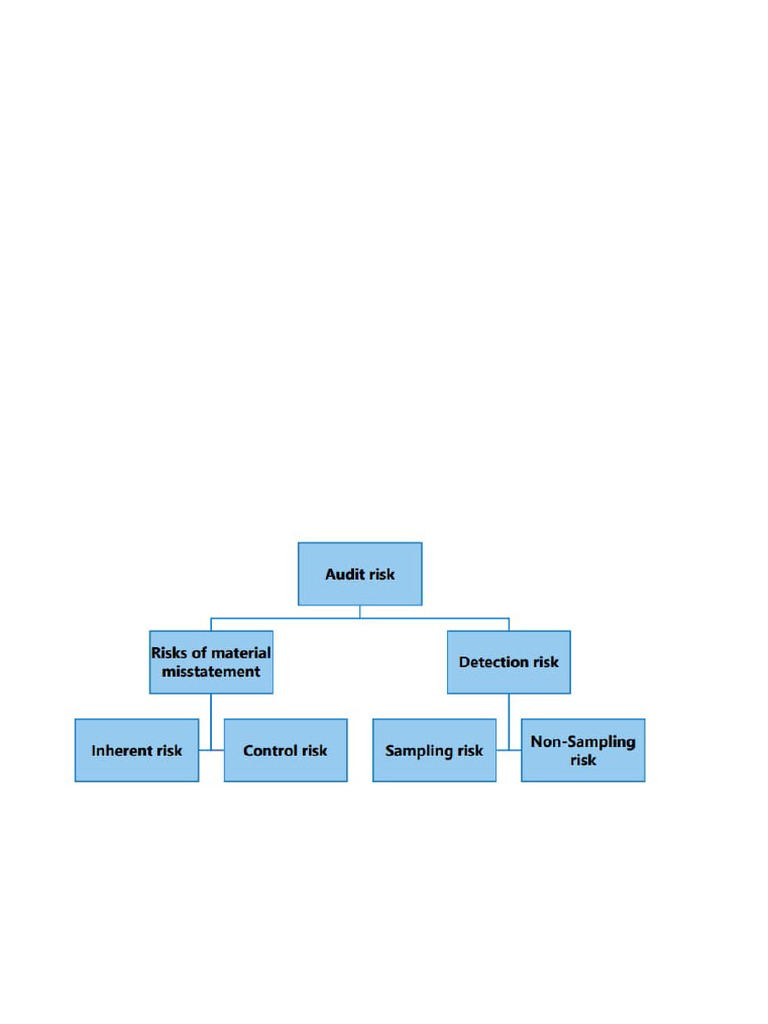 Risk Assessment in Audit Controls | PDF | Internal Control | Audit