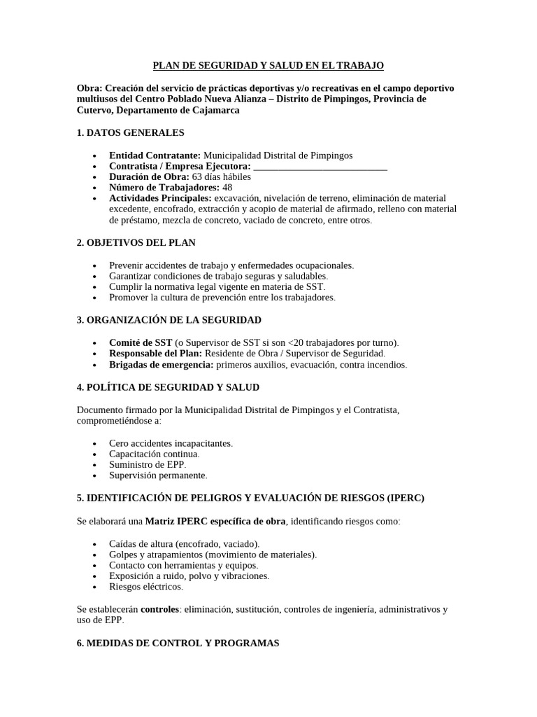 Plan de Seguridad y Salud Laboral en Obra | PDF