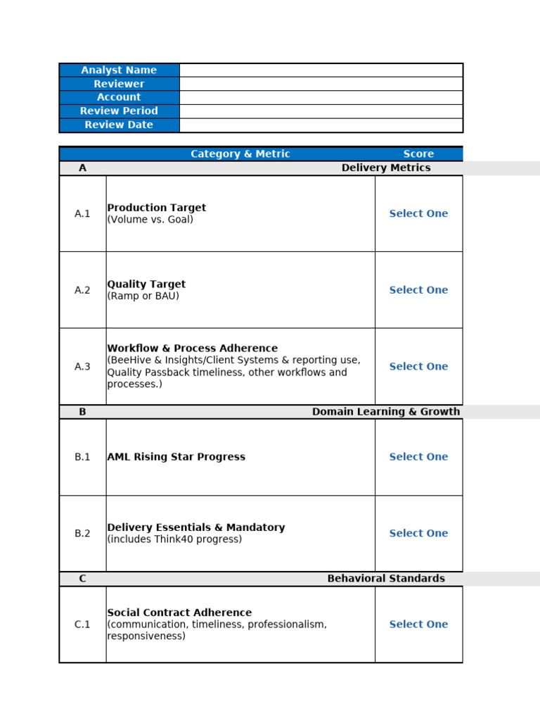 SAPFactors Performance Review Metrics | PDF | Business