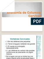 Anatomia de Columna Cervical