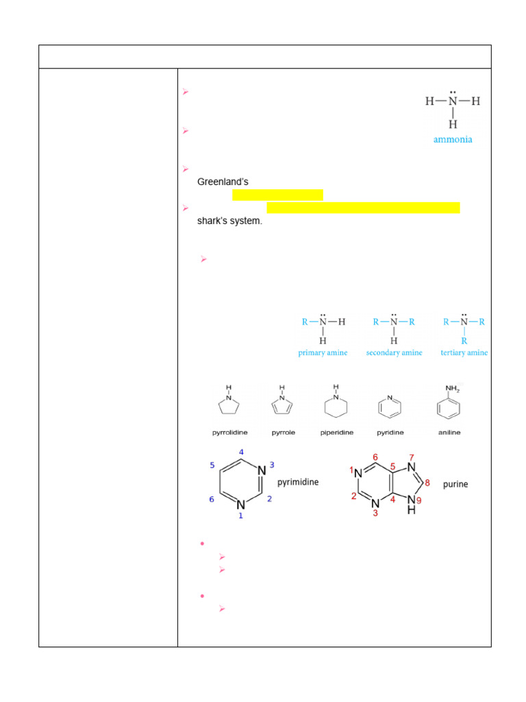 Understanding Amines in Organic Chemistry | PDF | Norepinephrine | Amine
