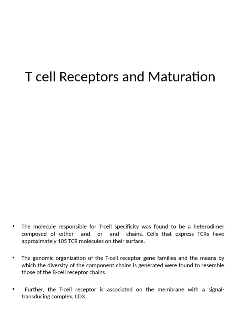 T-Cell Receptor Maturation and Function | PDF | T Cell | Thymus