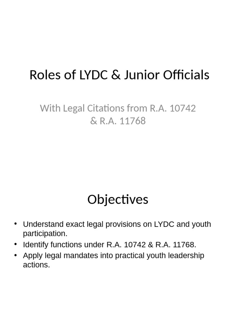 LYDC Roles & Youth Leadership Insights | PDF | Governance | Government