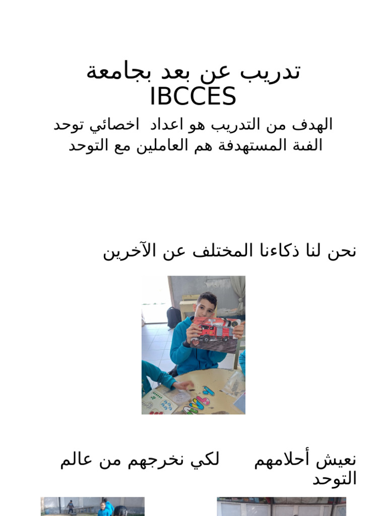 Ibcces | PDF