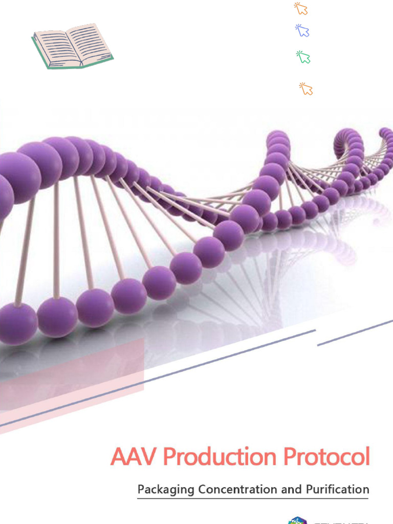 AAV Production and Packaging Protocol | PDF | Biology | Life Sciences