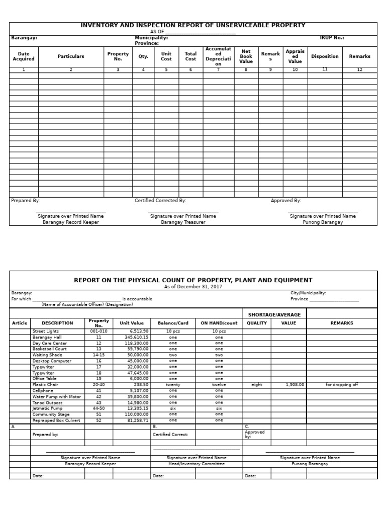 Unserviceable Property Inspection Report | PDF