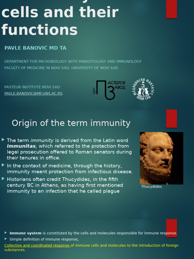 Immune System Cells and Functions | PDF | Innate Immune System | Immune ...