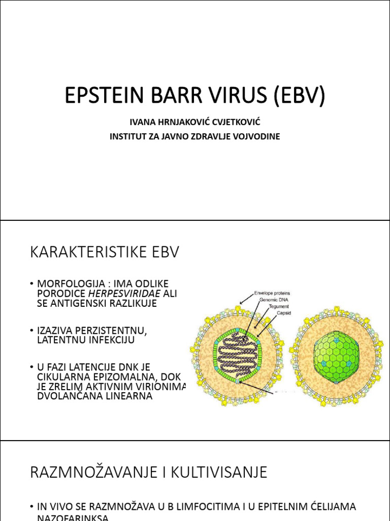 Epstein Barr Virus | PDF