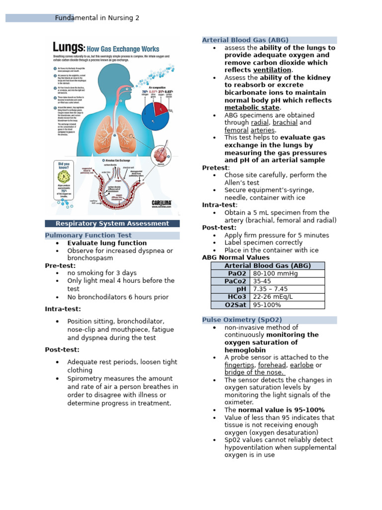Nursing Guide: Respiratory Assessments | PDF | Respiratory Tract ...