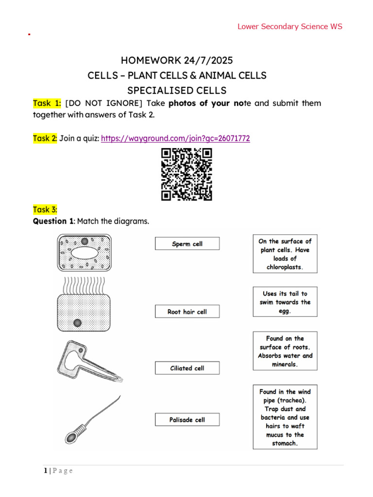 Plant and Animal Cells Homework Guide | PDF